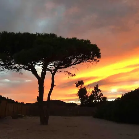빌라 Maisonnette De Standing A 200m De La De Santa Giulia